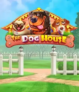 От Pragmatic Play представлен The Dog House, демонстрирующий прекрасное приключение с любимых собак. Участвуйте в игровых элементах таких как липкие "вайлды", идеальных для предоставления радостных моментов. Отлично для энтузиастов животных забавную атмосферу с шансом на крупные выигрыши.